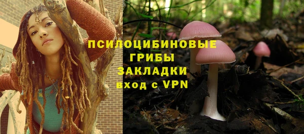 хмурый Абинск