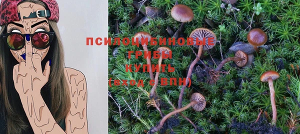 гашиш Абаза